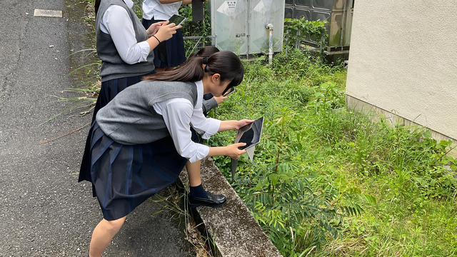 IMG_3828 - 編集済み