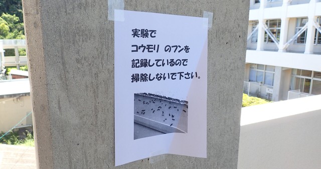 実験 (2)