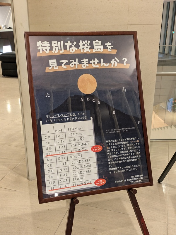 PXL_20251105_084729339 PXL_20251105_084729339