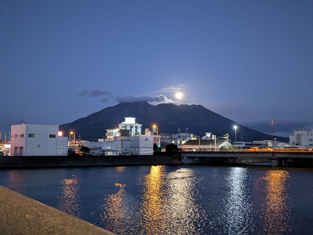 これPXL_20260303_094819334